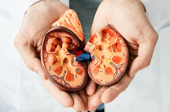 Homeopathic remedies Upper Respiratory Infections