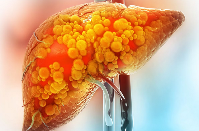 Homeopathy Doctors in Pammal